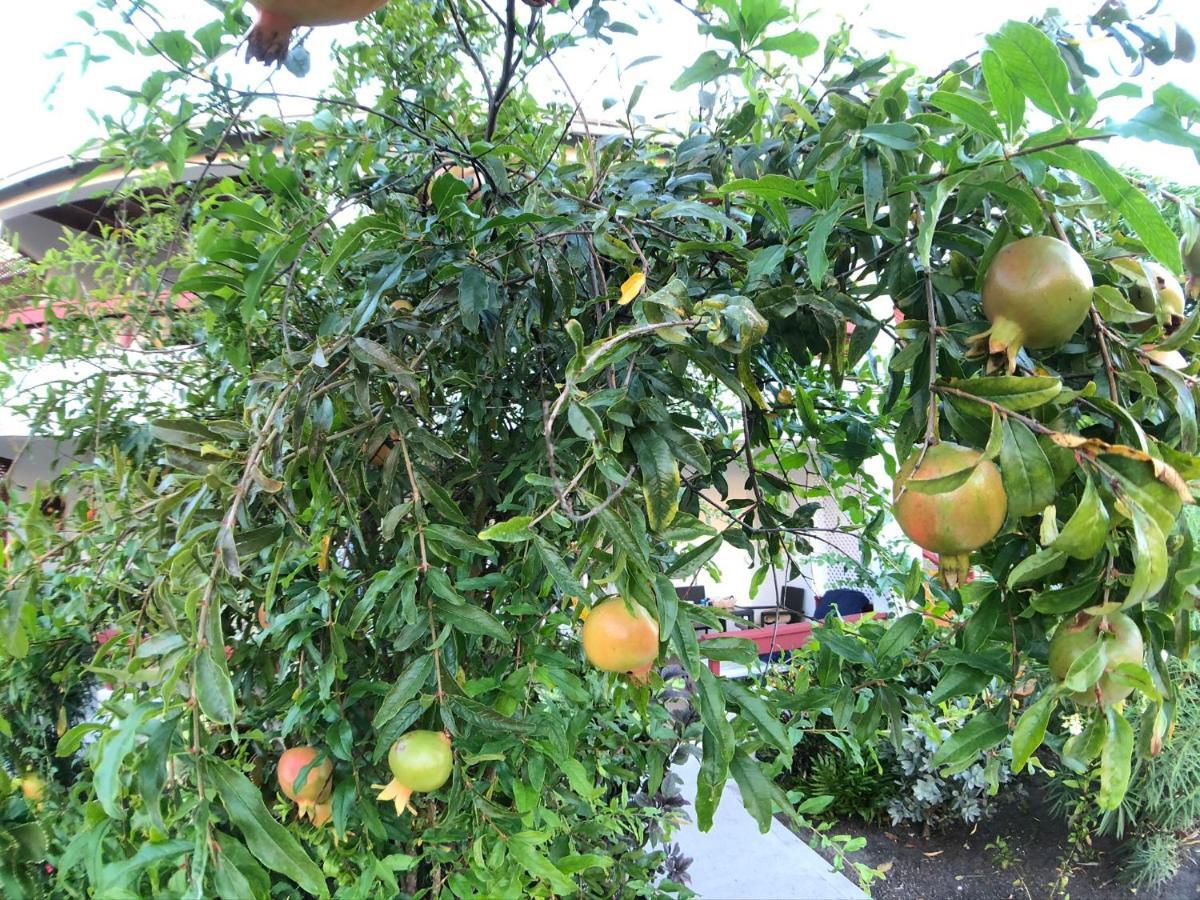 Dickenson Bay Oasis At Antigua Village St. John's Exterior foto
